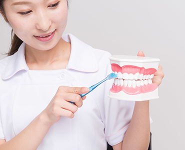 ブラッシング指導